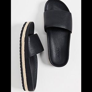 vince aurelia slides